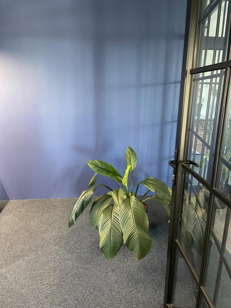 To Let commercial Property for Rent in Kenilworth Western Cape